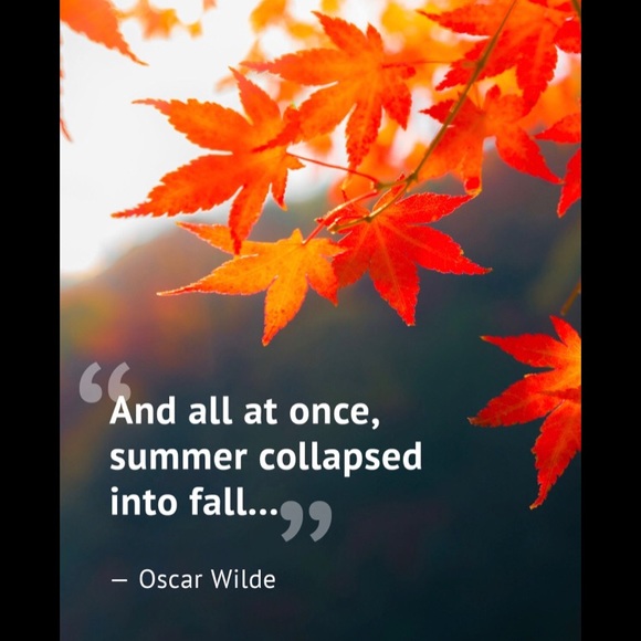 Goal met!! Thanks for following ❤️🎉 - Picture 4 of 6